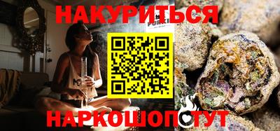 прущие грибы Абакан