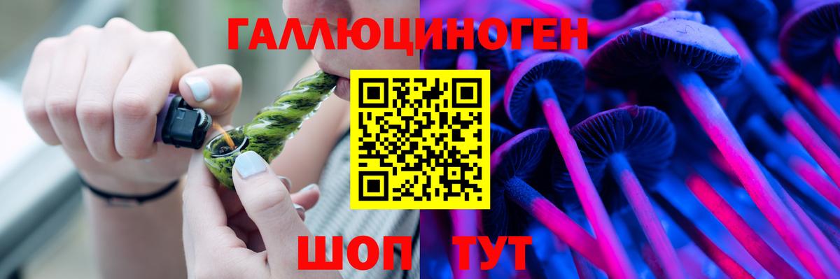 Псилоцибиновые грибы GOLDEN TEACHER  Вход с VPN  Россия 